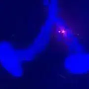 nnの画像