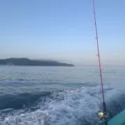 ぴの画像