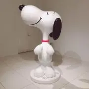 Yの画像