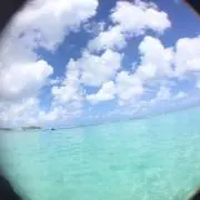 てりてりの画像