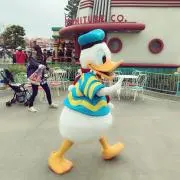 ✿✿✿の画像