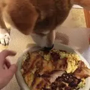 あんこ