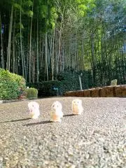 るーんの画像
