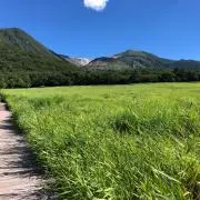 白うさぎ