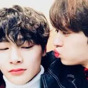 아리랑는기여어の画像