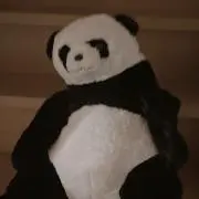 くまの画像