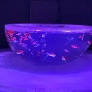 mei⭐︎の画像