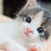 M.W