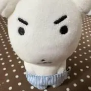 ぽよの画像