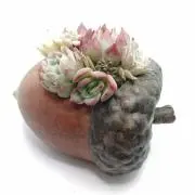 はいぴょん☆出品お休み中の画像