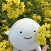 miiiの画像