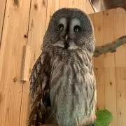 Y.u.の画像