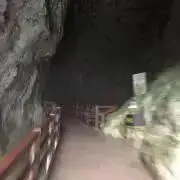 会わないつもりの、元気でねの画像