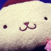 るたろ【即購入️⭕️】の画像