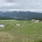 ユウ
