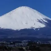 ぬーさんの画像