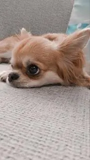 ☆hachi511☆