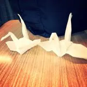 るんの画像