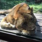ここなん