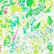 きいろ