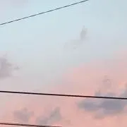 はな