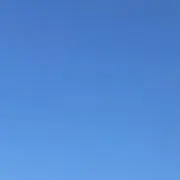 もちぽの画像