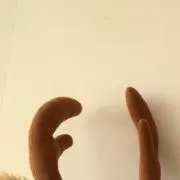 gajpの画像