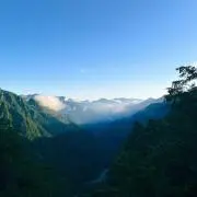musheの画像