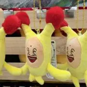 まの画像