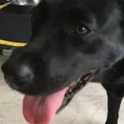 みかんの画像