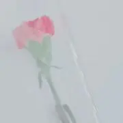 はるかぜの画像