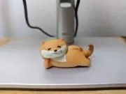 Yueroの画像