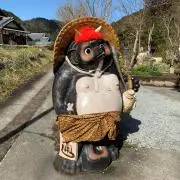ぽちこ