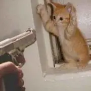 ツナの画像