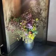 EIGHTの画像