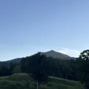 まーさの画像