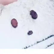 ひなたん