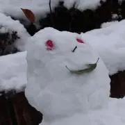 スワッチ