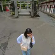 しよりの画像