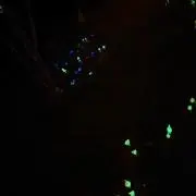 し。。の画像