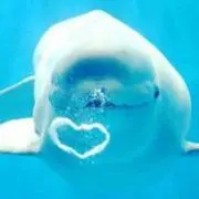 Mmmの画像