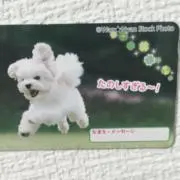 せきメガの画像