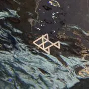 歯クジラ