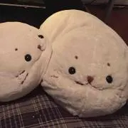 ♡キャロライン♡プロフィール読んで下さい