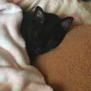 まなちん