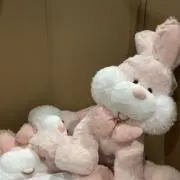 らぺの画像