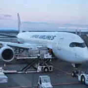 びーびの画像