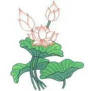 へちま