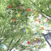 ぴたの画像