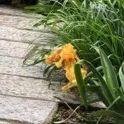 なおきの画像